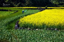 추천갤러리 - 농촌일기