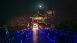 추천갤러리 - 여수 일출정