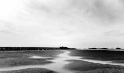 추천갤러리 - 갯골의 기다림