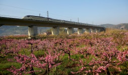 추천갤러리 - 고향가는 길