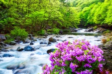 추천갤러리 - 뱀사골