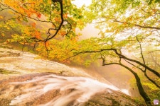 추천갤러리 - 설악폭포