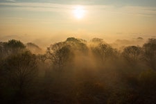 추천갤러리 - 강가의 아침