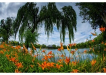 추천갤러리 - 궁남지