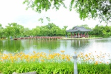 추천갤러리 - 궁남지