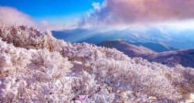 추천갤러리 - 덕유산