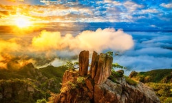 추천갤러리 - 삼남매
