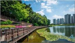 추천갤러리 - 광교 호수공원