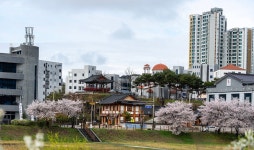 추천갤러리 - 전주 삼천동