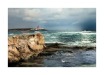 추천갤러리 - 성난바다 2022