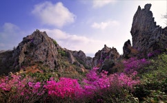 추천갤러리 - 덕룡산의 아침.