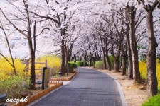 추천갤러리 - 산책길