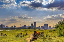 추천갤러리 - 도시의 오후