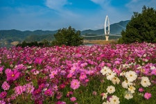 추천갤러리 - 요산공원