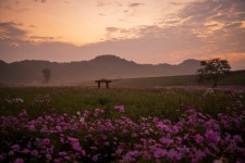 추천갤러리 - 함안 뚝방