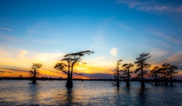 추천갤러리 - 불타는 Swamp