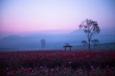 추천갤러리 - 함안 뚝방