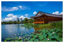 추천갤러리 - 덕진공원