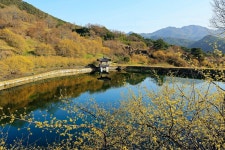추천갤러리 - 구례