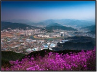 추천갤러리 - 종남산의 봄