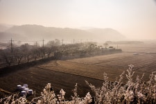 추천갤러리 - 목천 들녘