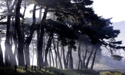 추천갤러리 -  松林小景  추천갤러리 - &quot; 松林小景 &quot;