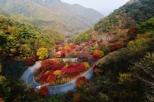 추천갤러리 - 보발재 꼬부랑길과 단풍