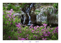 추천갤러리 - 가평용소폭포