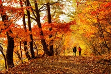 추천갤러리 - 가을을 걷다