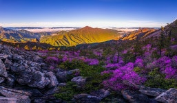 추천갤러리 - 설악산