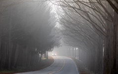 추천갤러리 - 진안 메타길