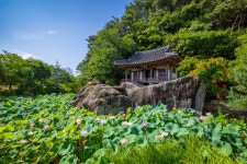 추천갤러리 - 주암정