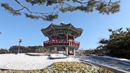 추천갤러리 - 월파정