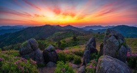 추천갤러리 - 초암산
