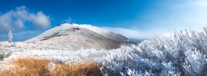 Foto aus Naver-Suchergebnissen 4