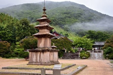 추천갤러리 - 표충사