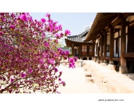 추천갤러리 - 동춘당