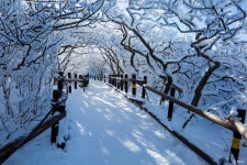 추천갤러리 - 덕유산