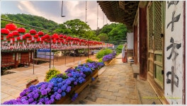 추천갤러리 - 강화 전등사