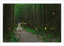 추천갤러리 - 구룡마을