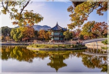 추천갤러리 - 향정원