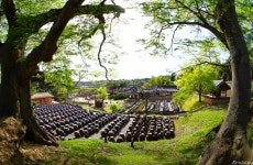 추천갤러리 - 명재 고택의 봄