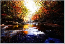 추천갤러리 - 구천동 계곡