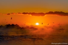 추천갤러리 - 문무대왕릉