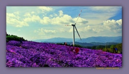 추천갤러리 - 오래 머물고 싶었던 감악산 정상의 풍경 ------