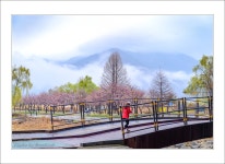 추천갤러리 - 비온 후