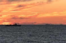 추천갤러리 - 노을과 경비정