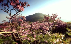 추천갤러리 - 덕유산