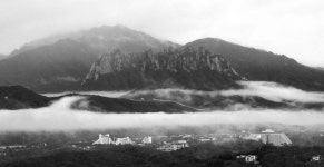 추천갤러리 - 울산바우
