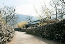추천갤러리 - 한밤 돌담길